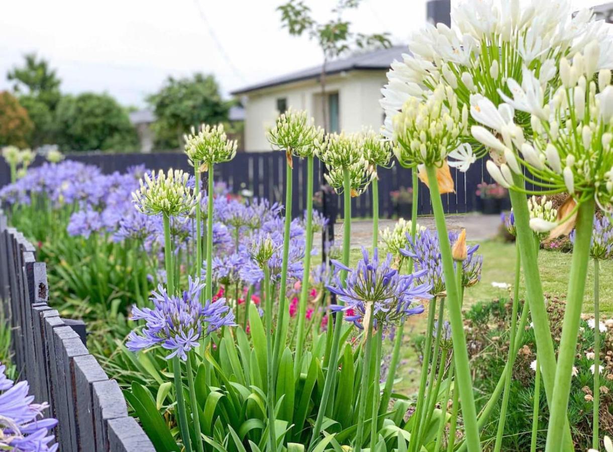 Central Garden Guest House Motueka Extérieur photo